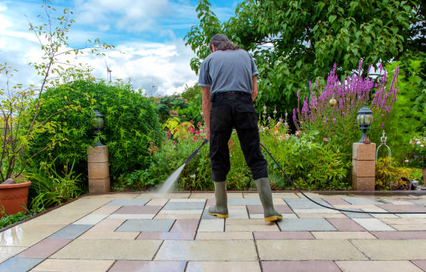 Best Animal Enclosure Cleaning  in Ballwin, MO